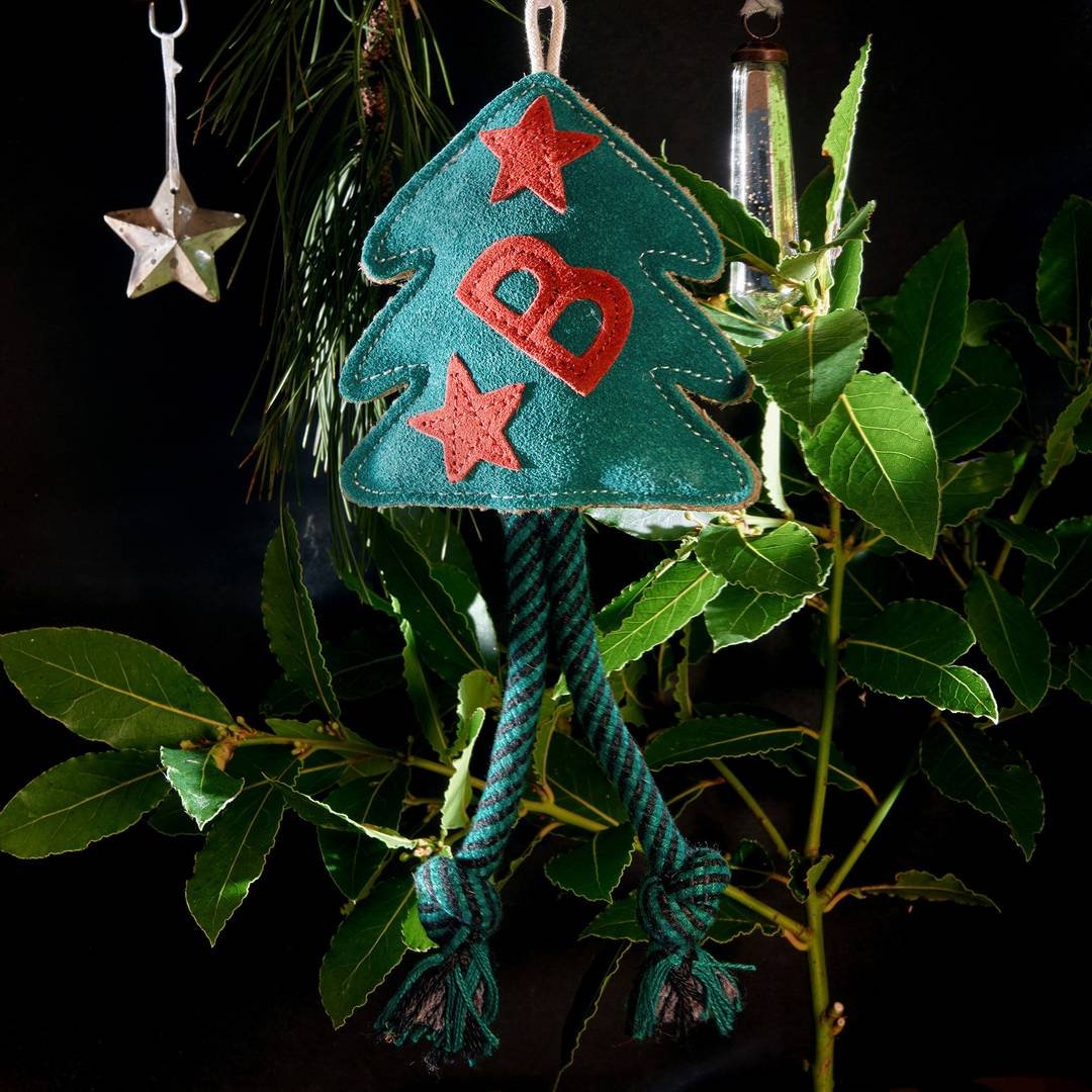 Green and Wilds | Bruce the Spruce - Eco Dog Toy - Image 2