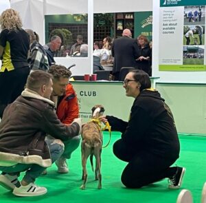 therapy dogs nationwide crufts