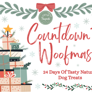 Countdown to Woofmas 2025 - Advent Calendar for Dogs - *Pre Order*