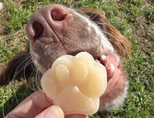 goat milk frozen dog enrichment