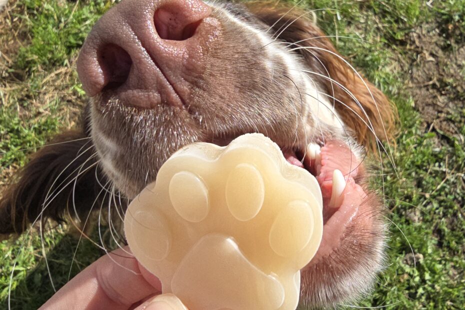 goat milk frozen dog enrichment